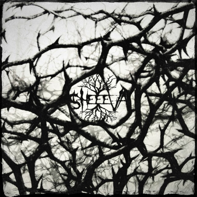 И вокруг только тернии тернии тернии когда уже звезды