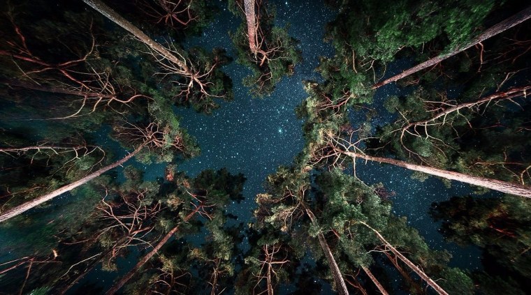 Через тернии к звездам арт