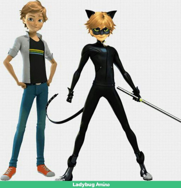 Супер кот мальчик