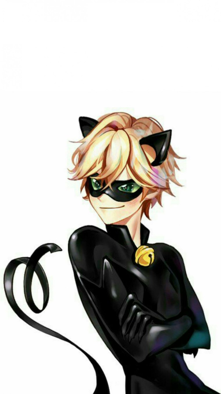 Леди баг и супер кот супер кот