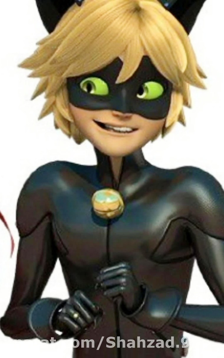 Супер кот без маски