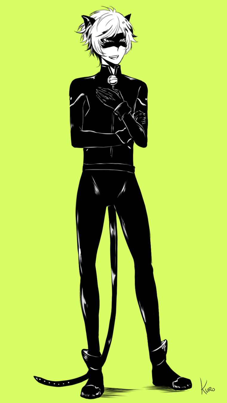 Кот Нуар в полный рост