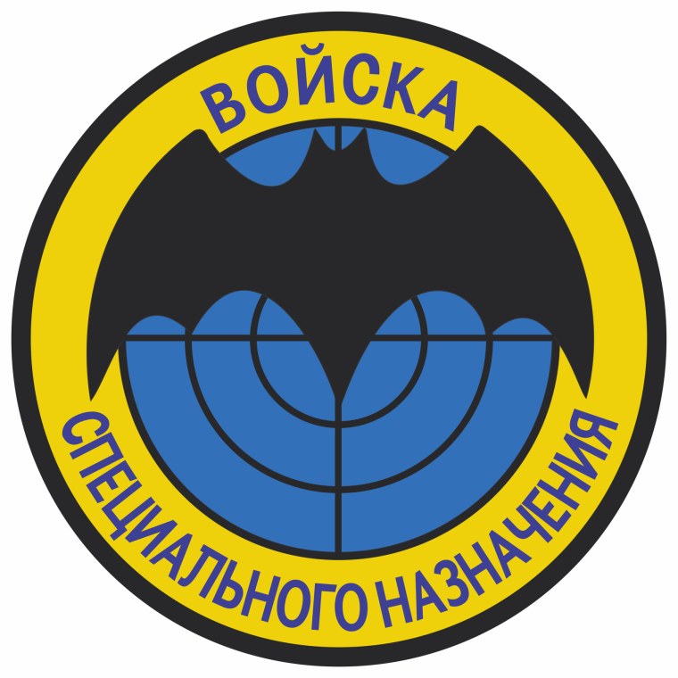 Шеврон войска специального назначения летучая мышь