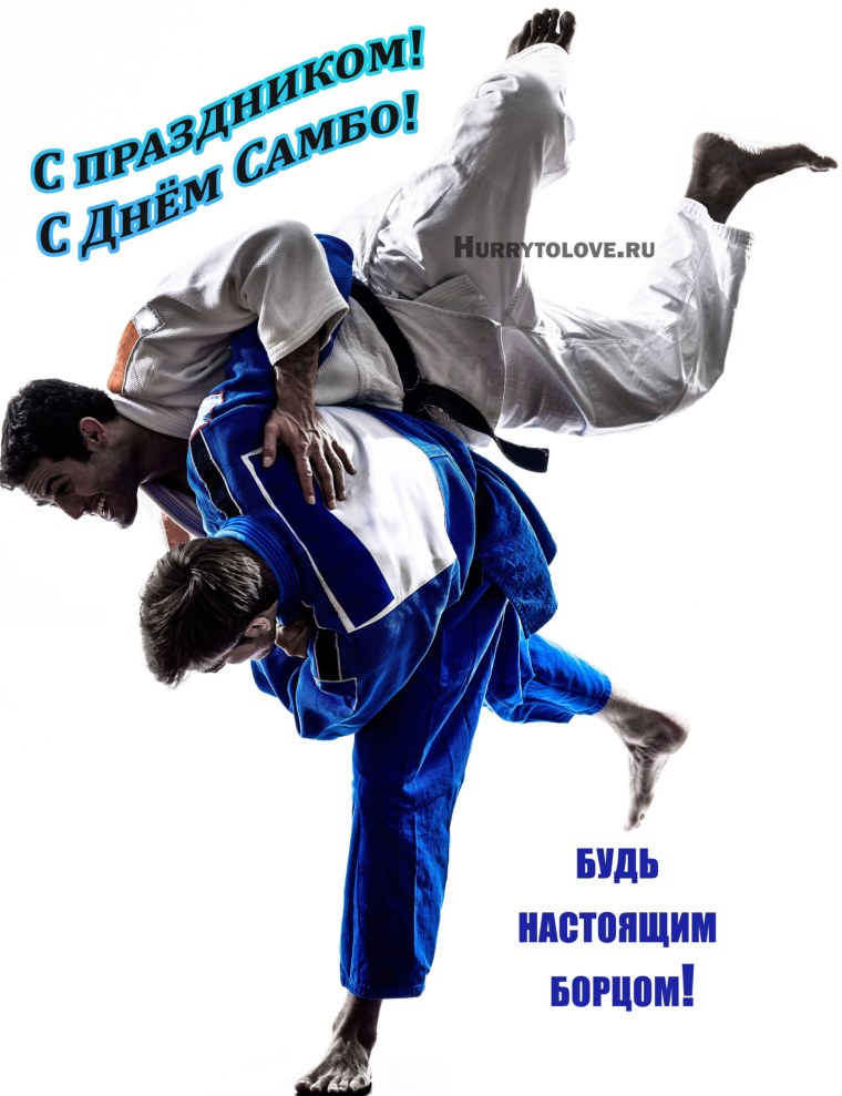 Всероссийский день самбо открытки