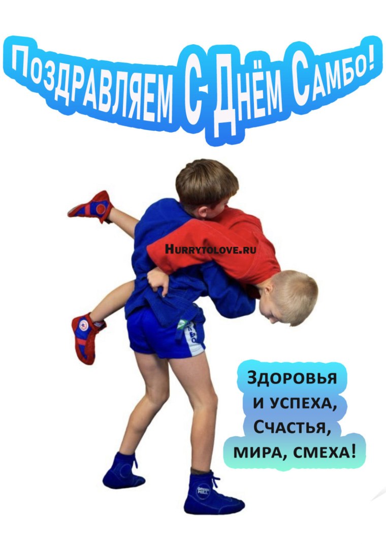День самбо