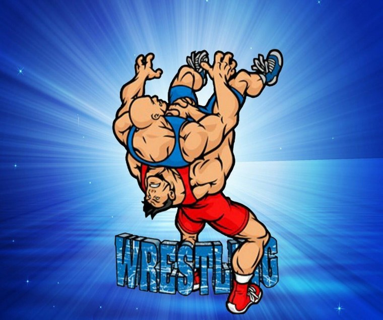 Борцы на заставку