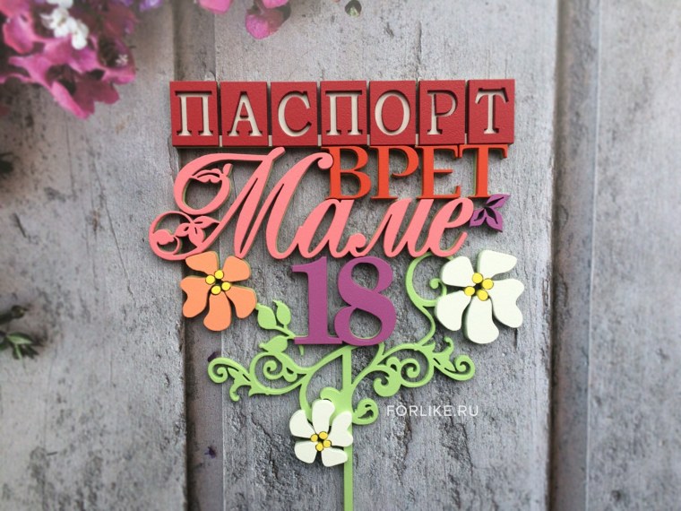 Топпер паспорт врет маме