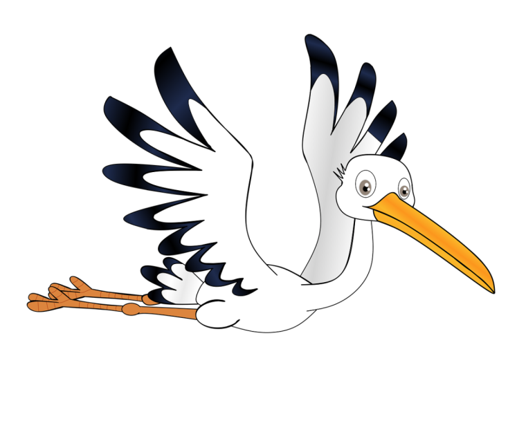 Аист картинка на белом фоне
