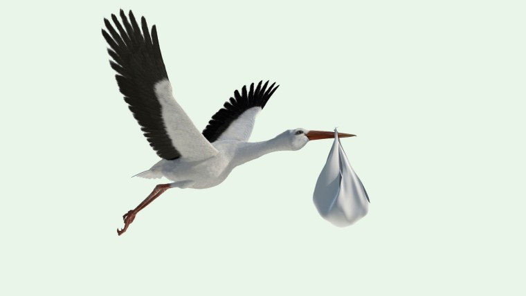 Журавль на белом фоне