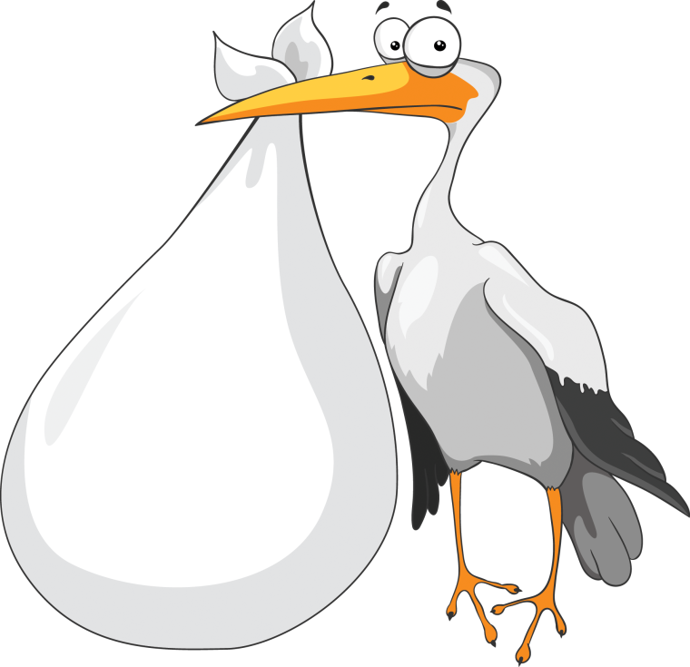 Аист на прозрачном фоне