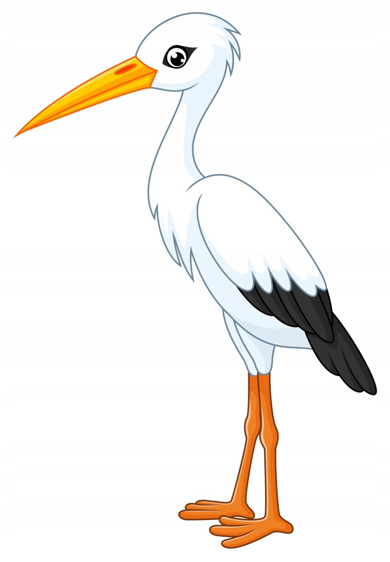 Аист вектор