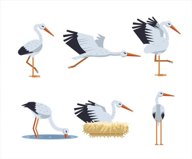 Аист векторное изображение