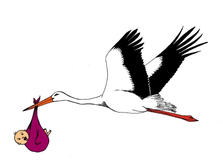 Аист мультяшный