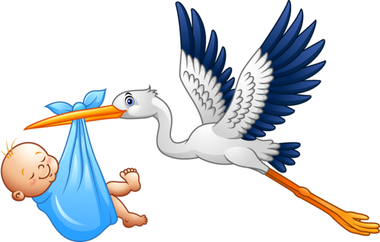 Аист несёт младенца