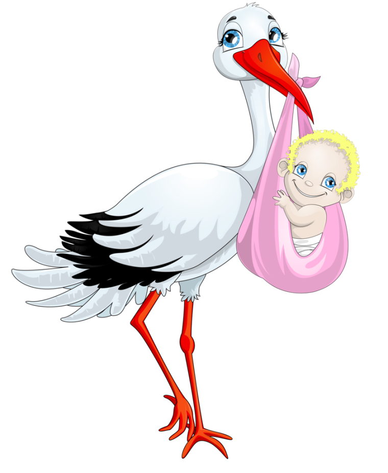 Аист рисунок