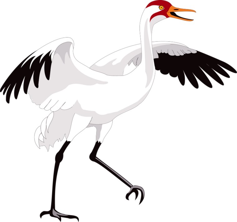 Аист мультяшный