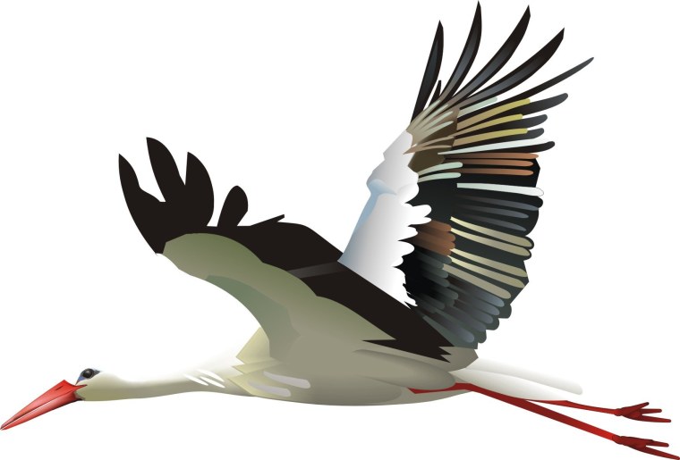 Журавль для детей