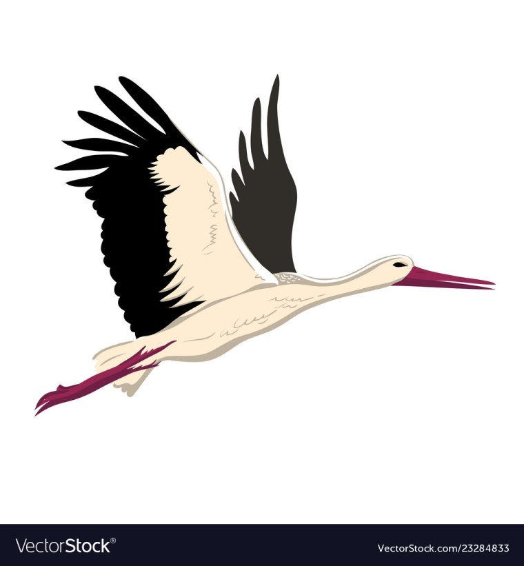Летящий Аист нарисованный