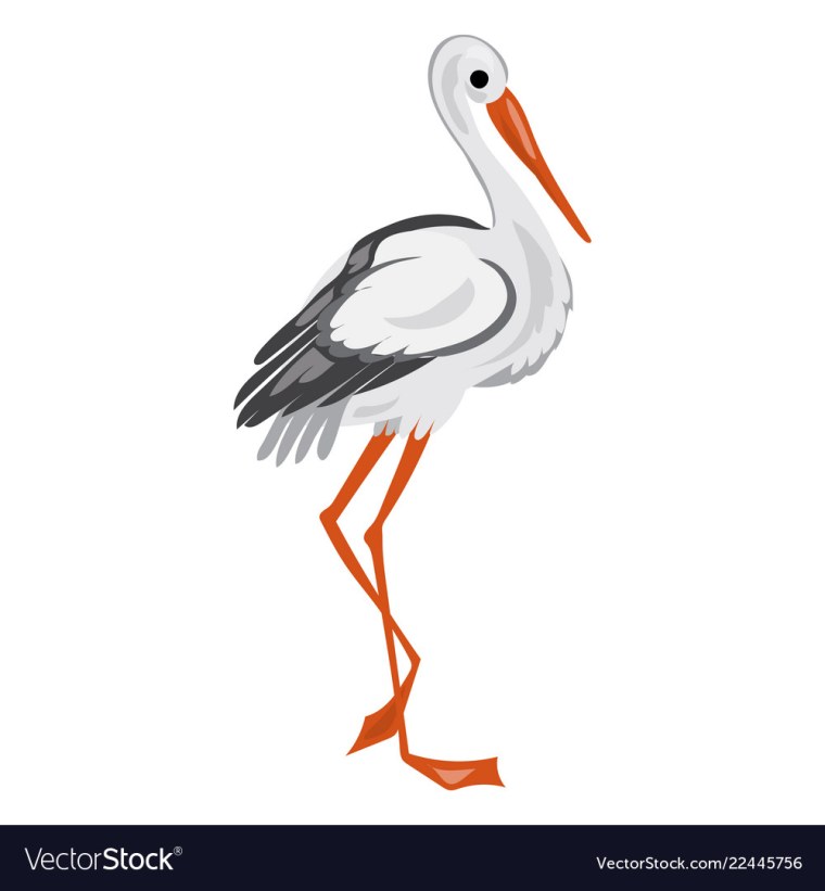 Аист на белом фоне мультяшный