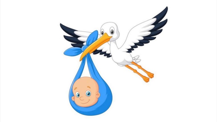 Аист несёт младенца