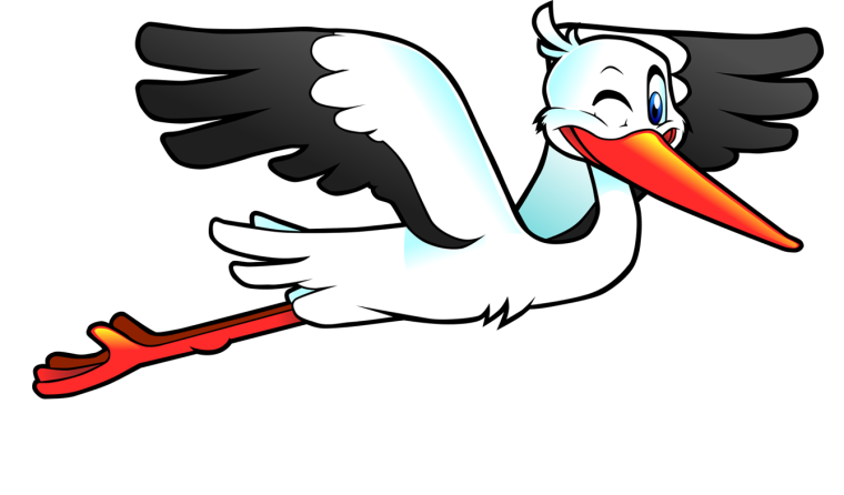 Аист с ребенком