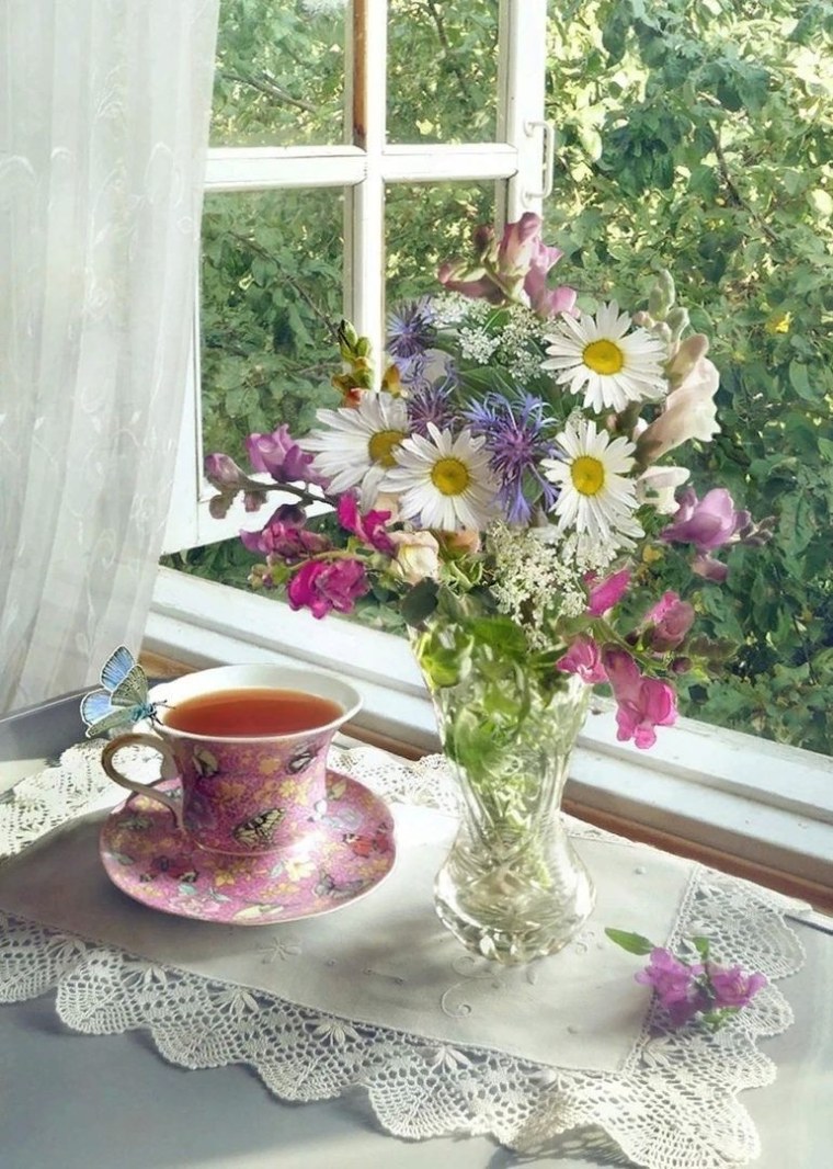 Нежные цветы на подоконнике