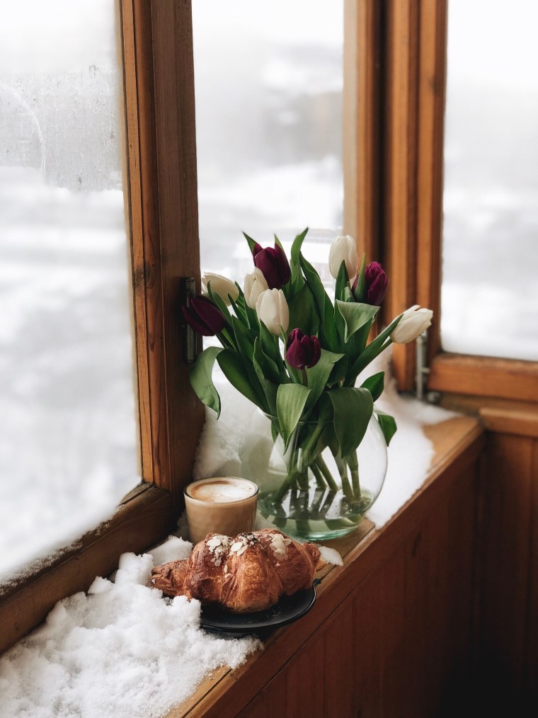 Цветы на подоконнике зимой