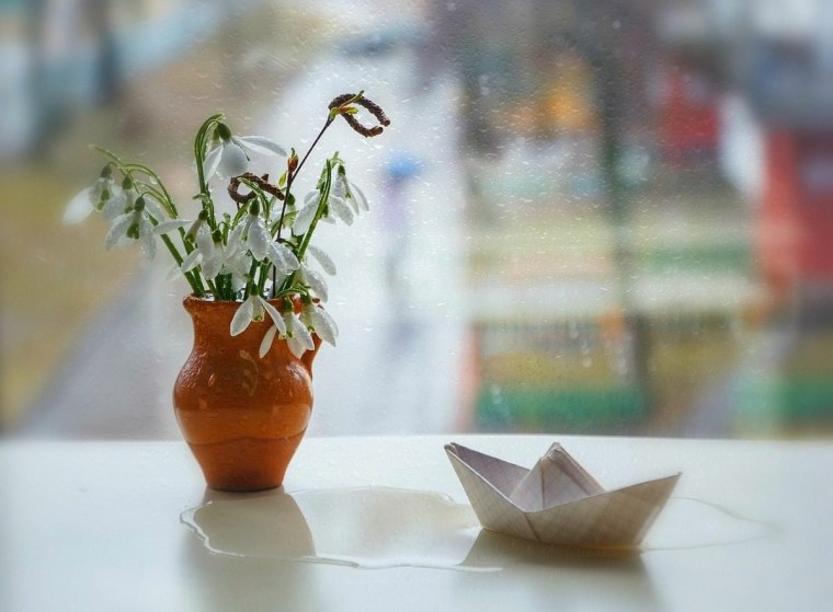 Подснежники на подоконнике