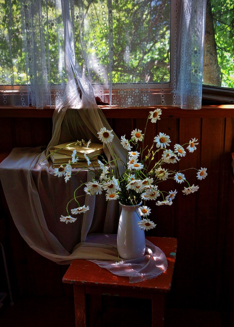 Летнее утро окно