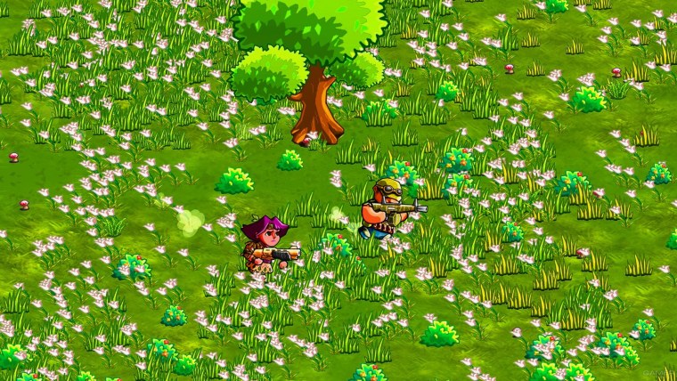 Лесная Полянка вид сверху