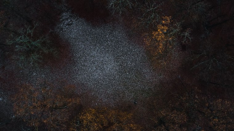 Поляна вид сверху