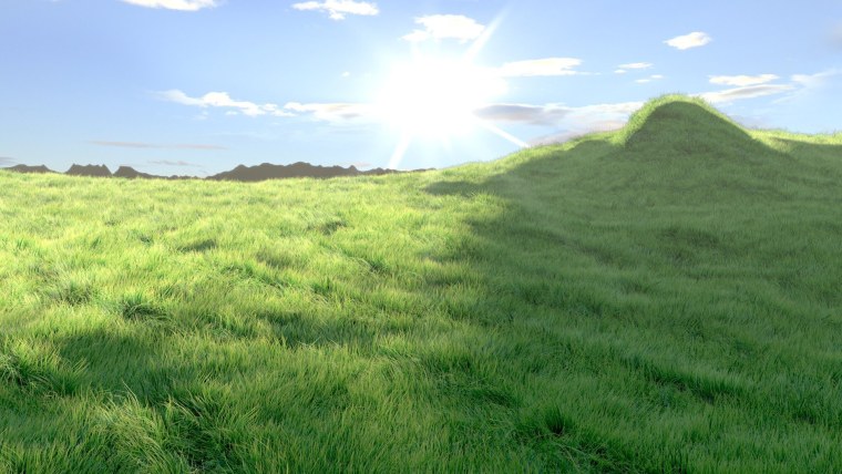 Поляна холм