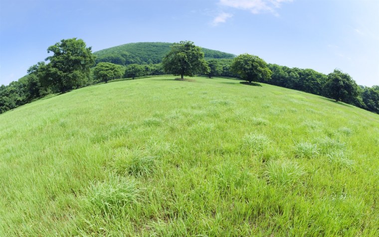Поляна вид сверху