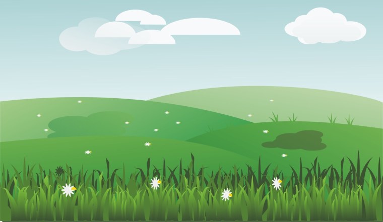 Мультяшная Поляна