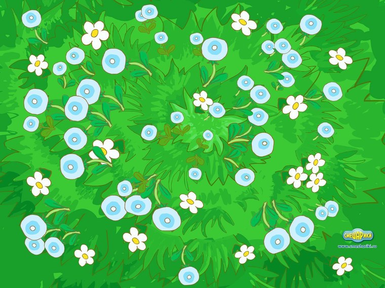 Цветочная Поляна вид сверху