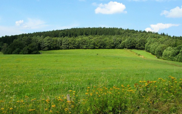 Девятково Нижнетавдинский район