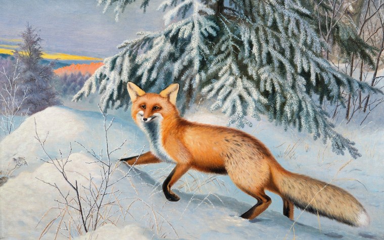 Лиса зимой в лесу