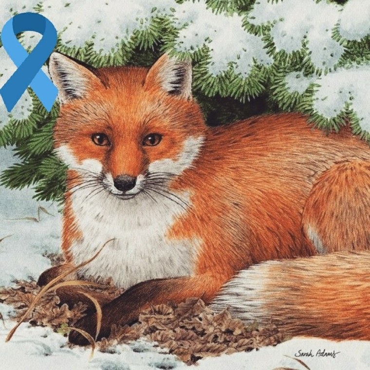 Лиса зимой для детей