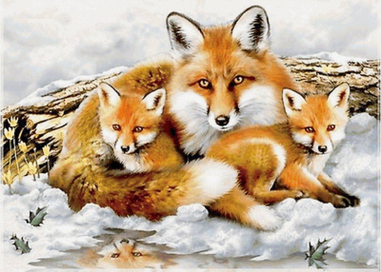 Алана Битиева «лиса с лисятами»)