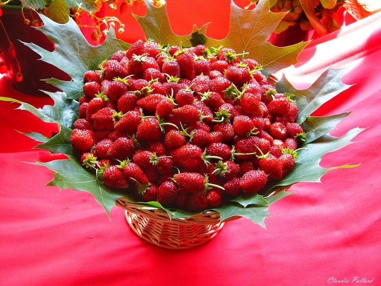 Ягодный юбилей