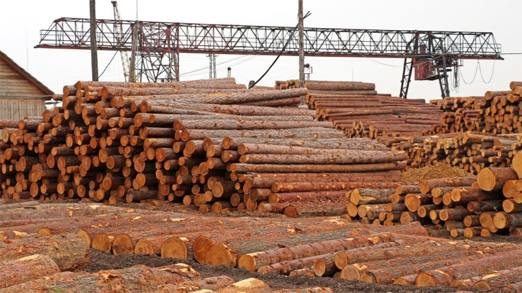 Лесная промышленность Красноярского края