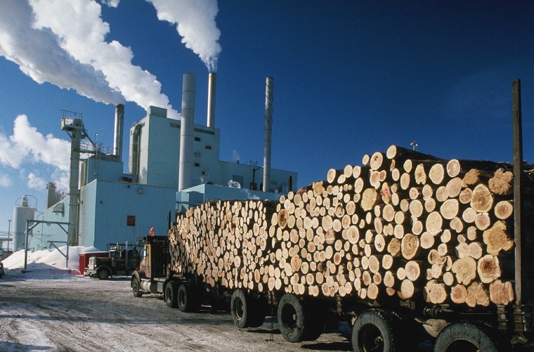 Деревообрабатывающая и целлюлозно бумажная промышленность Канады