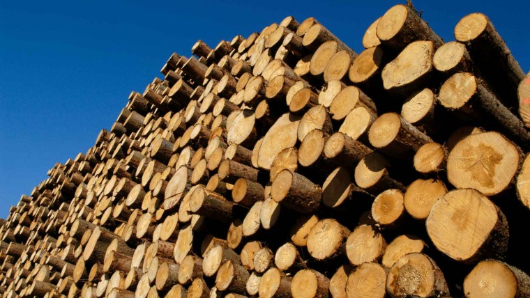 Лесная, деревообрабатывающая и лесохимическая промышленность