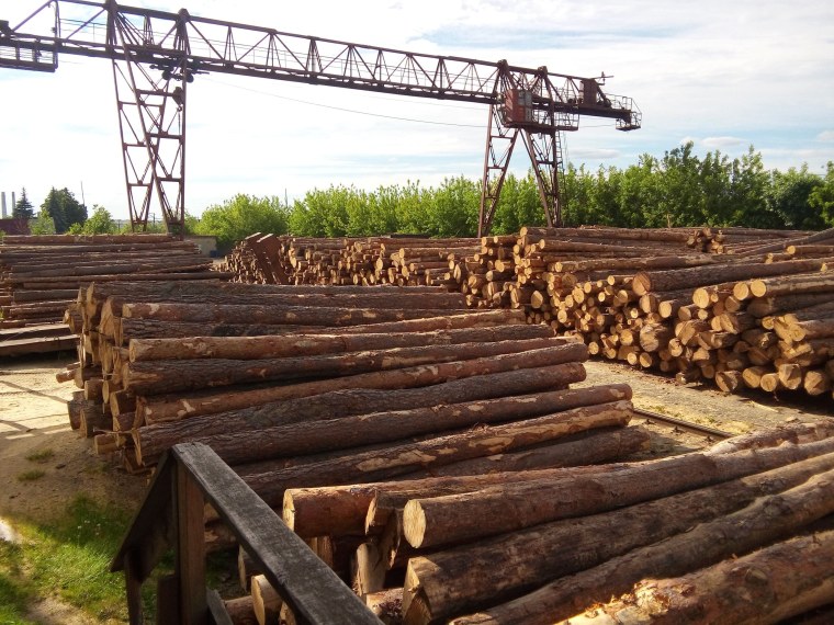 Лесная, деревообрабатывающая и целлюлозно-бумажная промышленность