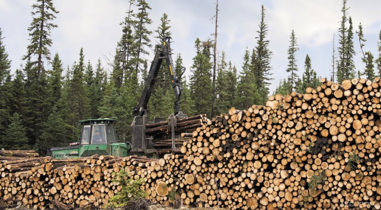 Лесное хозяйство Швеции