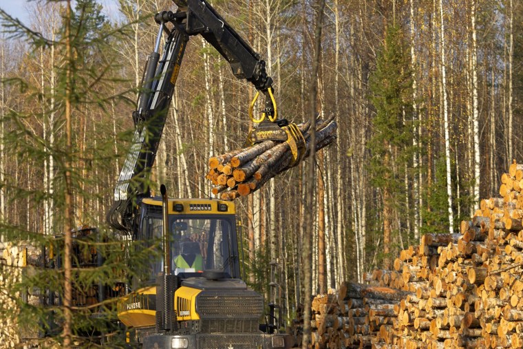 Лесная отрасль в Республике Коми