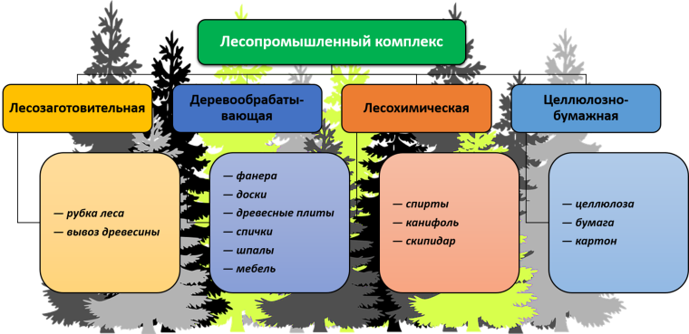 Структура Лесной отрасли