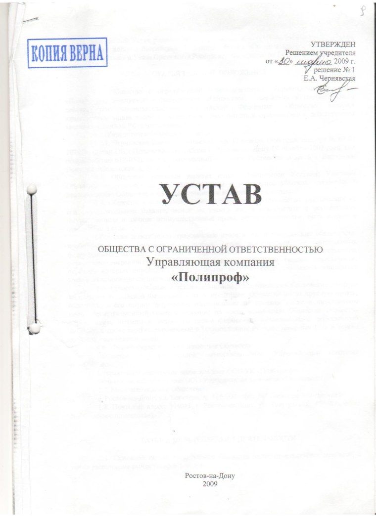 Устав организации устав