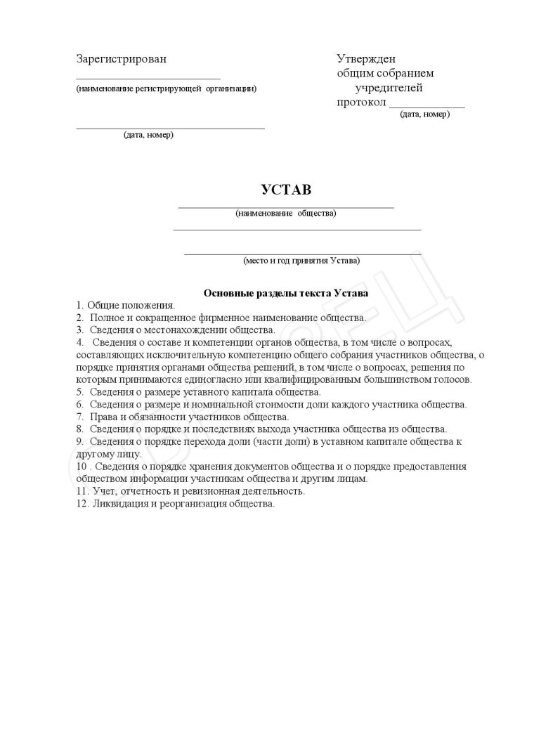 Устав организации образец ИП заполненный