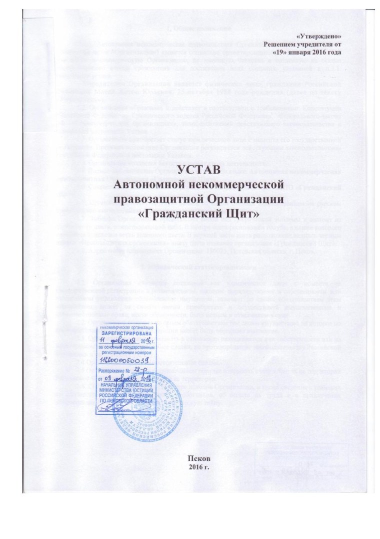 Устав фонда некоммерческой организации